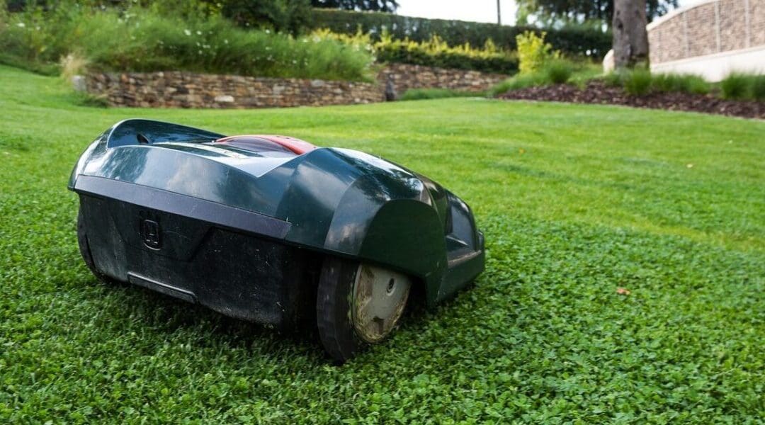 7 Best Robotic Lawn Mowers for Effortless Lawn Care