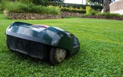 7 Best Robotic Lawn Mowers for Effortless Lawn Care