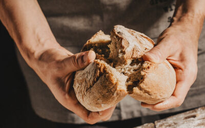 15 Best Bread Machines to Elevate Your Home Baking Game in 2025