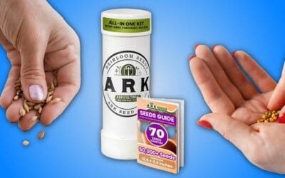 Organic Heirloom Seed Kit Review