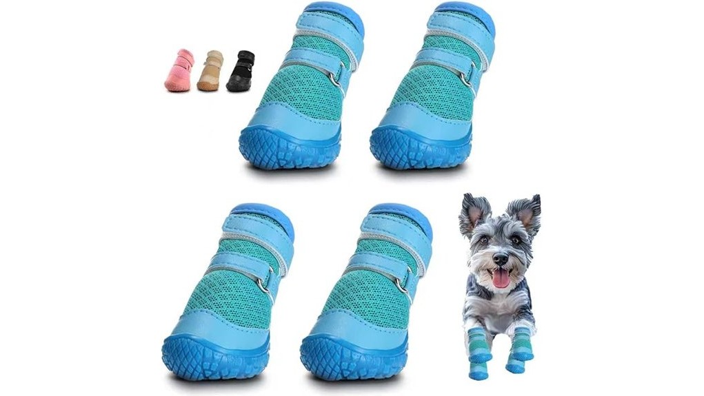 review of small dog shoes
