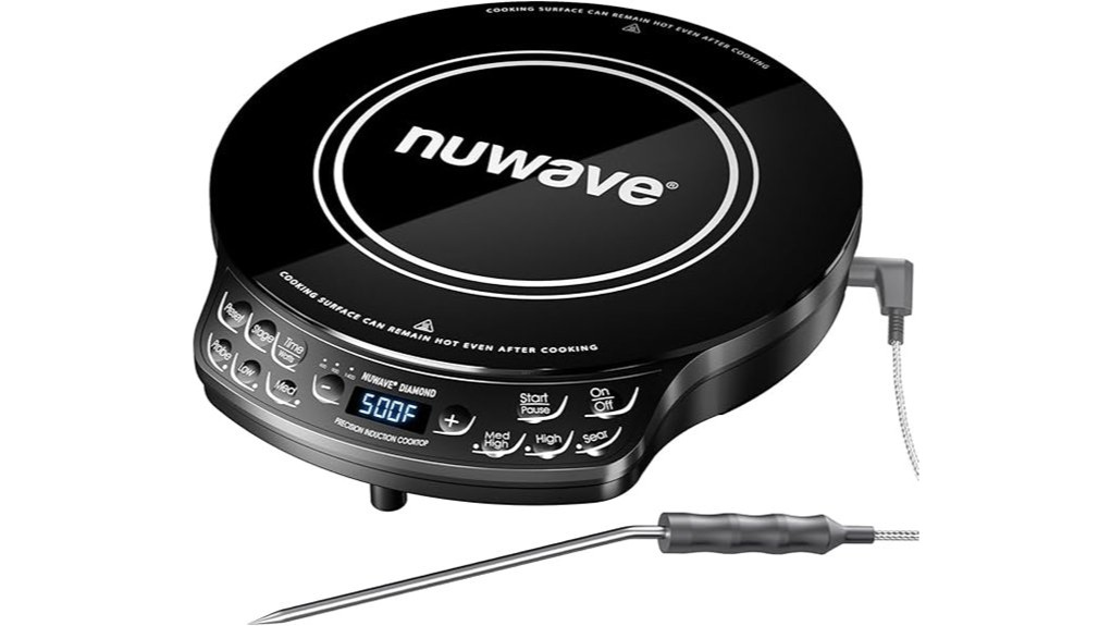 portable induction cooktop review